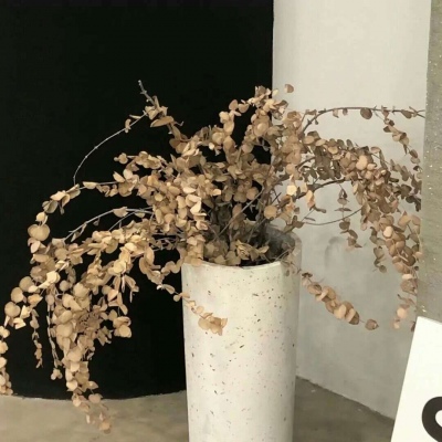 Furry数字绘画入门指南兽圈群